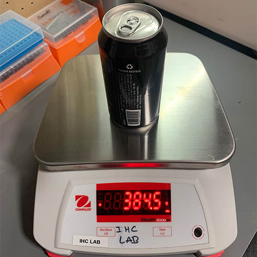 Quality_0008_IMG_9197